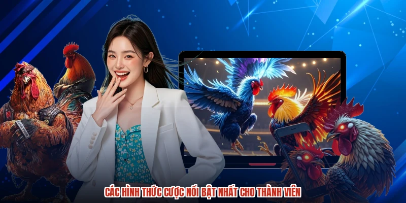Các hình thức cược nổi bật nhất cho thành viên