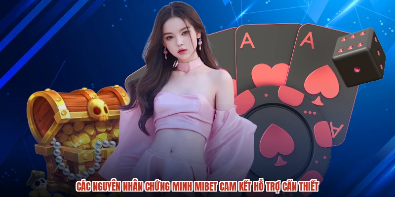 Các nguyên nhân chứng minh MIBET cam kết hỗ trợ cần thiết