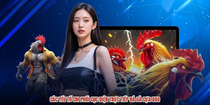 Các yếu tố chi phối cục diện trực tiếp đá gà cựa dao