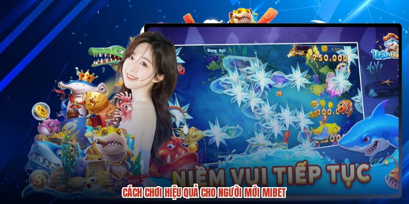Cách chơi hiệu quả cho người mới MIBET
