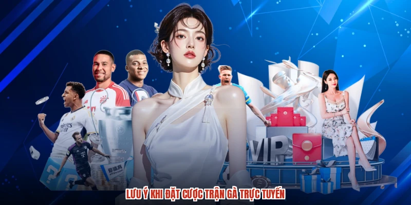 Lưu ý khi đặt cược trận gà trực tuyến