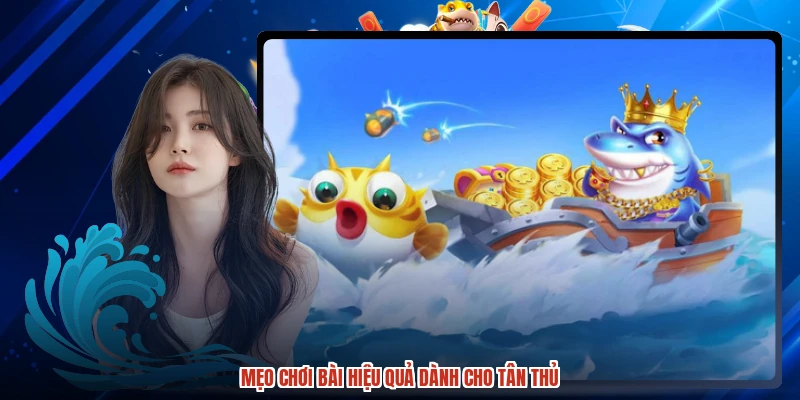 Mẹo chơi bài hiệu quả dành cho tân thủ