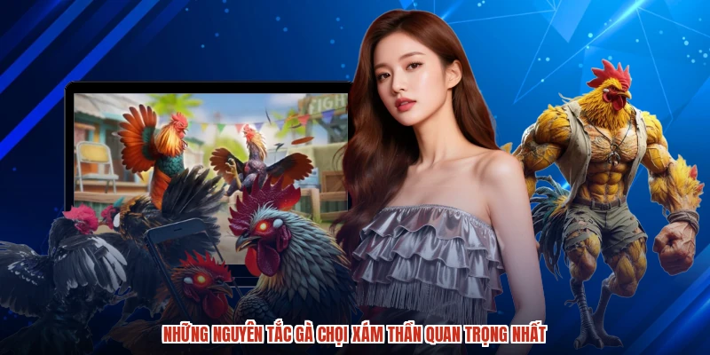 Những nguyên tắc gà chọi xám thần quan trọng nhất