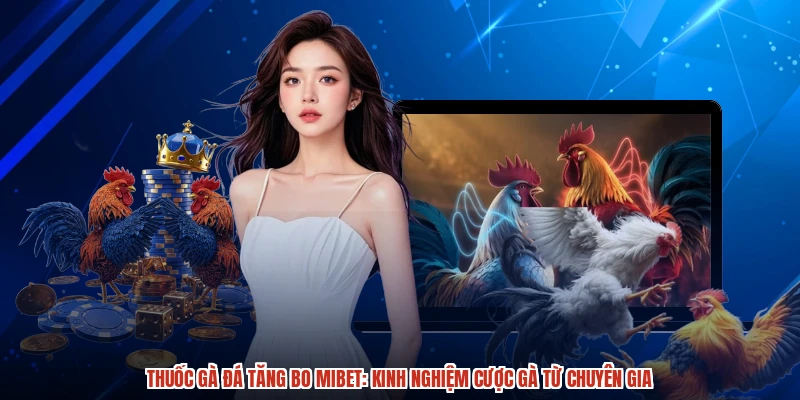 Thuốc Gà Đá Tăng Bo Mibet: Kinh Nghiệm Cược Gà Từ Chuyên Gia