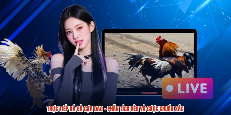 Trực Tiếp Đá Gà Cựa Dao - Phân Tích Kèo Và Cược Chuẩn Xác