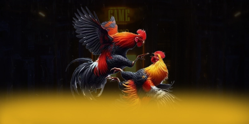 Cùng trải nghiệm FB88 - Cổng game bài phổ biến nhất 2026 Cùng trải nghiệm FB88 - Cổng game bài phổ biến nhất 2026