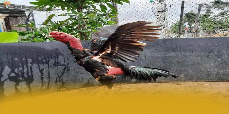 Hệ thống chăm sóc khách hàng tại 8xbet Hệ thống chăm sóc khách hàng tại 8xbet